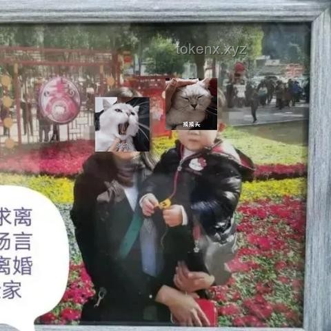 遭家暴后坠亡9岁男孩事件深度分析：家庭暴力与儿童心理健康